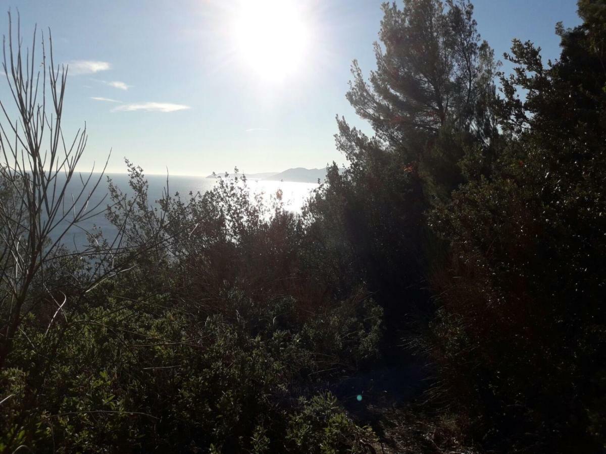 Apartment Aurora & Nicole Ideal Per Biker Con Terazza Vista Mare Parcheggio E Wi-Fi Gratuiti ピエトラ・リーグレ エクステリア 写真